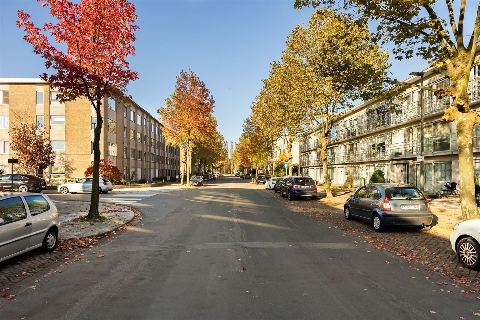 Instapklaar & gezellig appartement - met staanplaats  foto 10