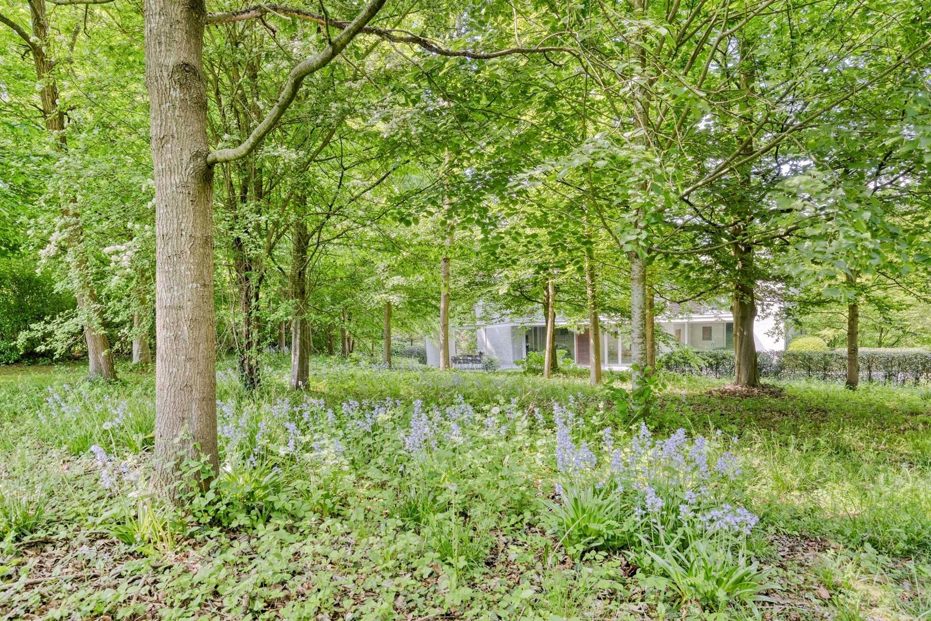 Prachtige moderne villa op ruim perceel foto 43