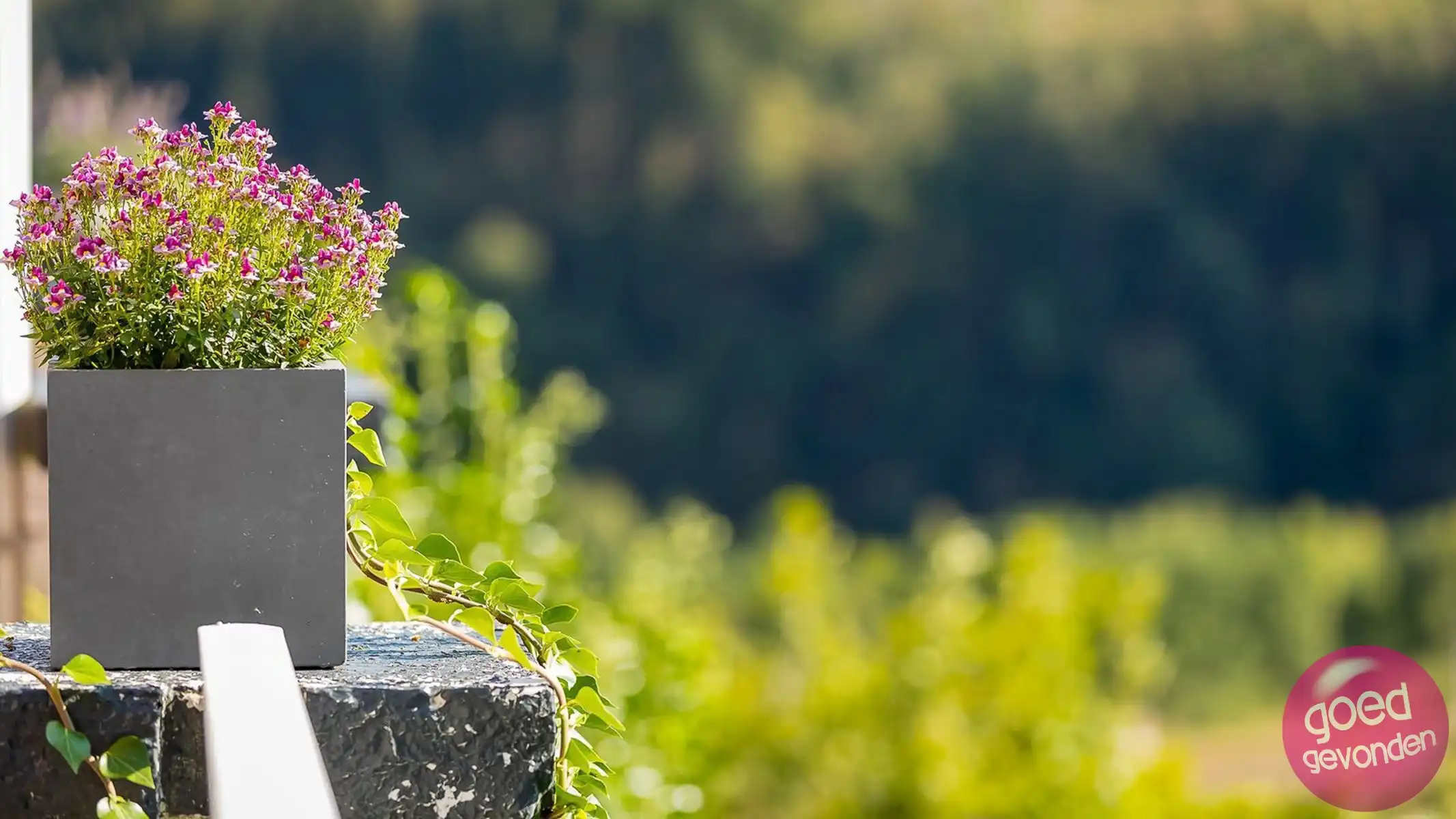 Hotel - idyllische ligging - 17 kamers - 3ha  foto 14