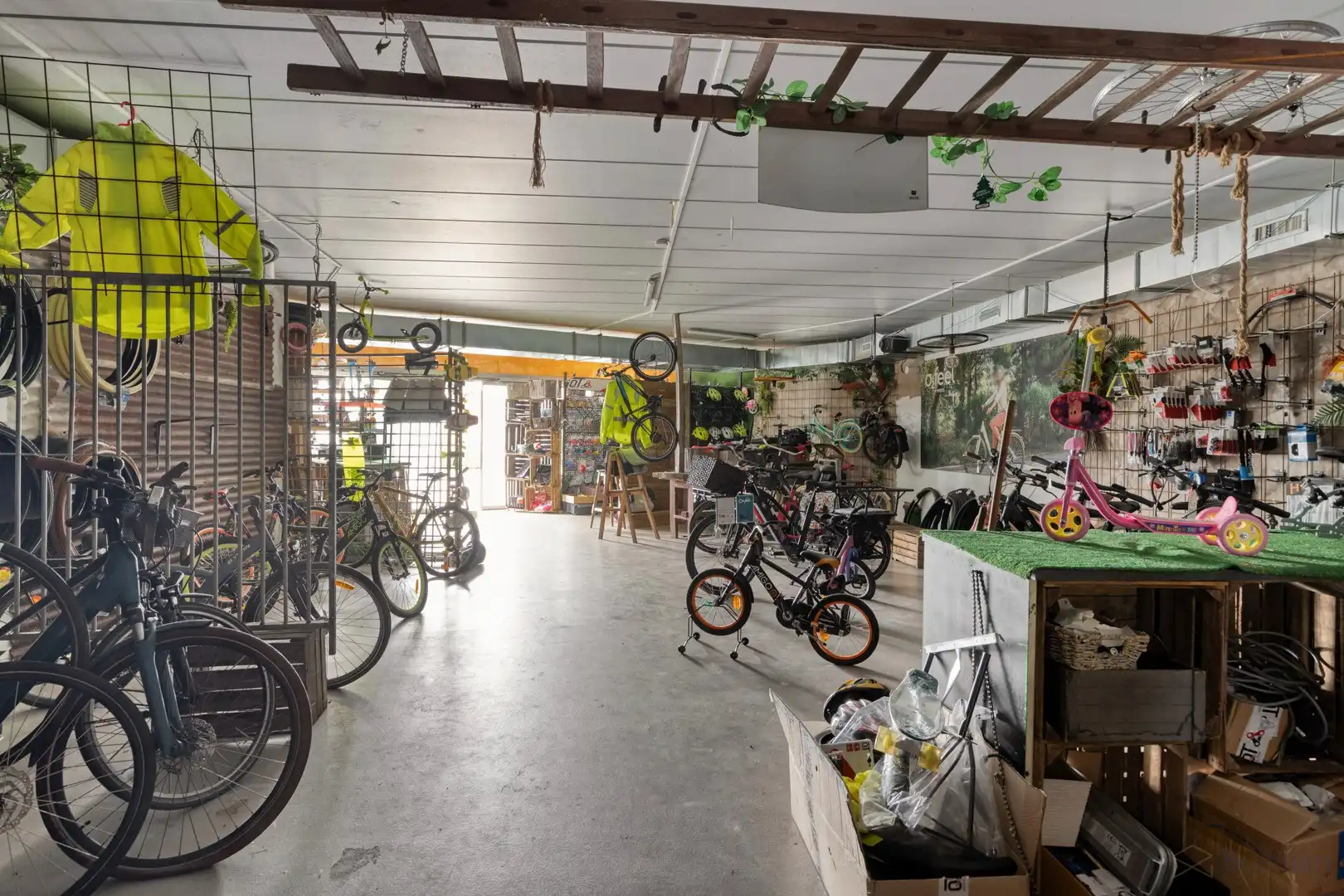 Handelspand te koop in Meerhout foto 6