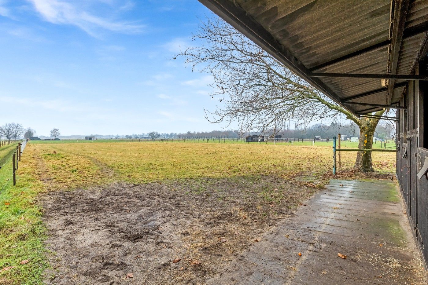 Mooi stuk weiland met 4 paardenstallen van 4570m²  te koop in Hoevenen foto 2