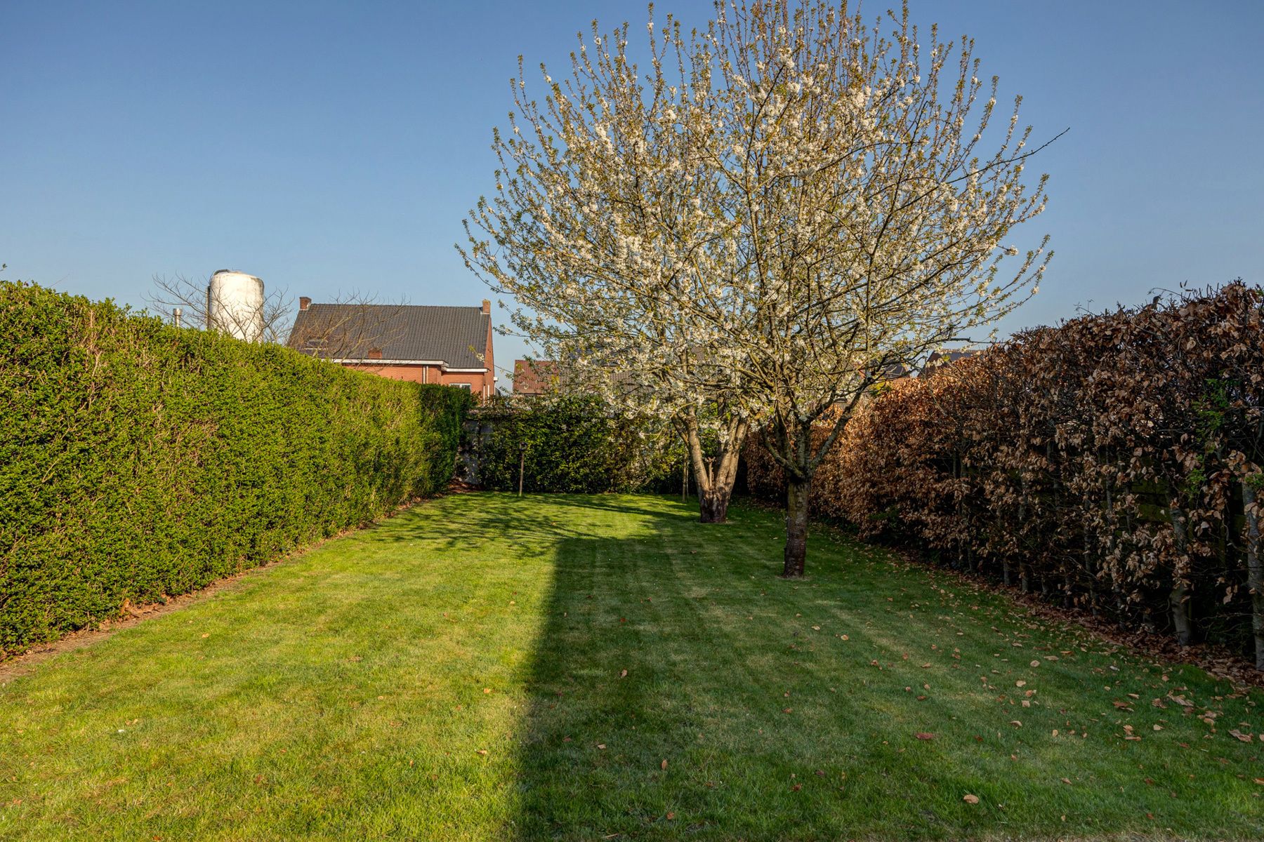 IN OPTIE. Gezinswoning met 4 slpks en tuin in Rijkevorsel 674m2 grond foto 35
