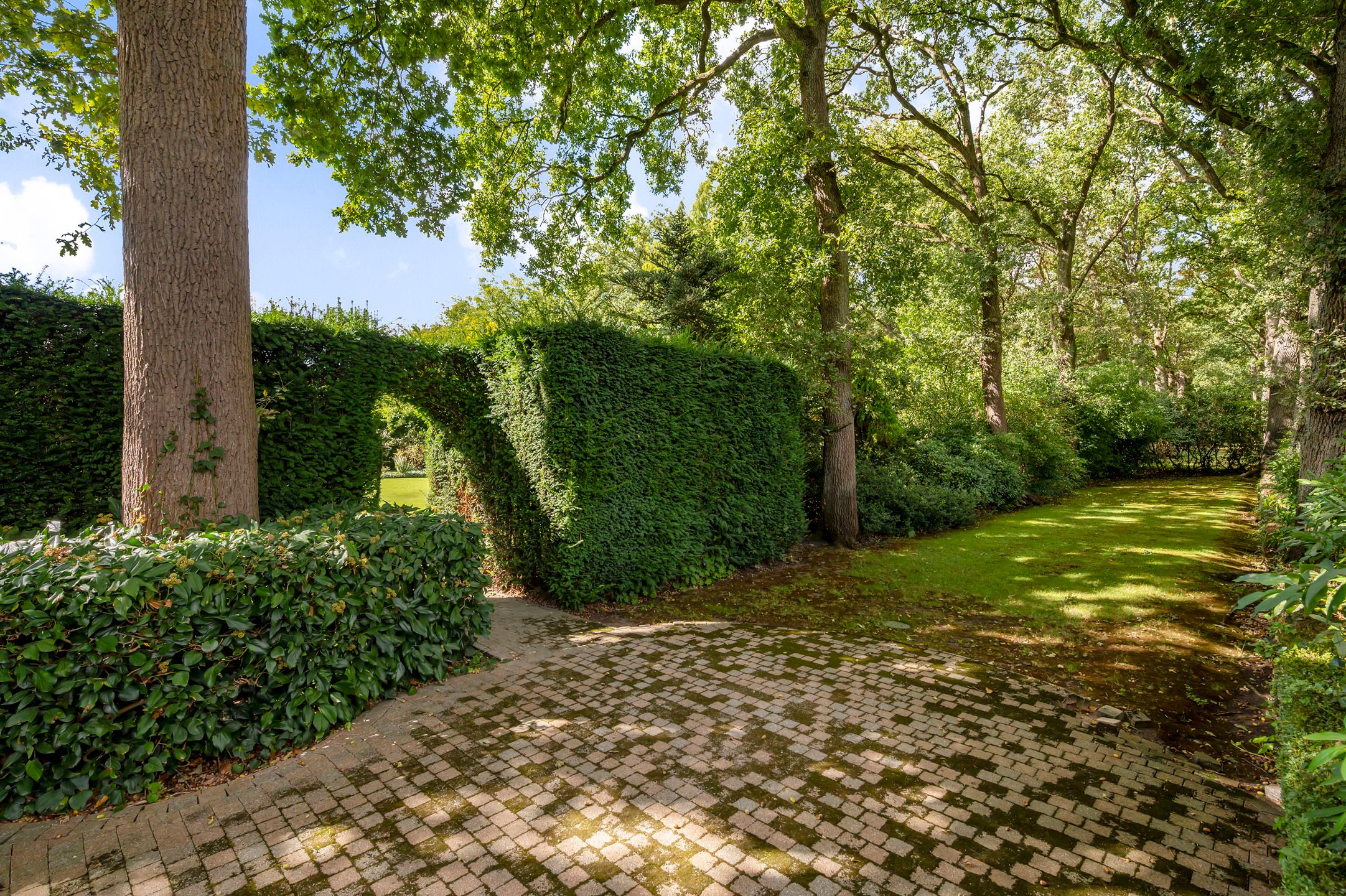 Gelijkvloerse villa op ca. 3.660 m² met parktuin! foto 18