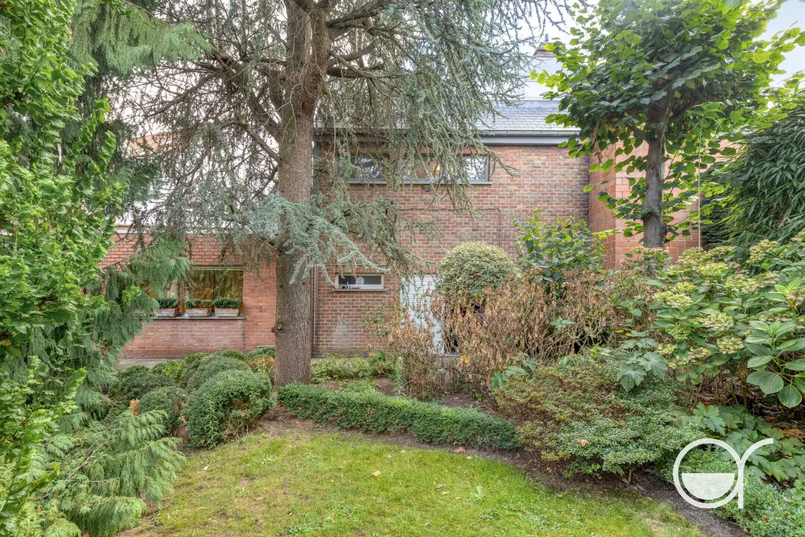 Statige op te frissen dokterswoning met praktijk, APPARTEMENT en riante tuin in het hart van Wetteren foto 6
