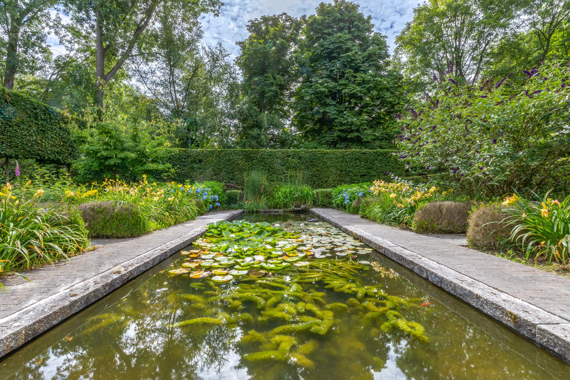 Prachtig perceel van 3348m2 met magnifieke tuin. foto 18