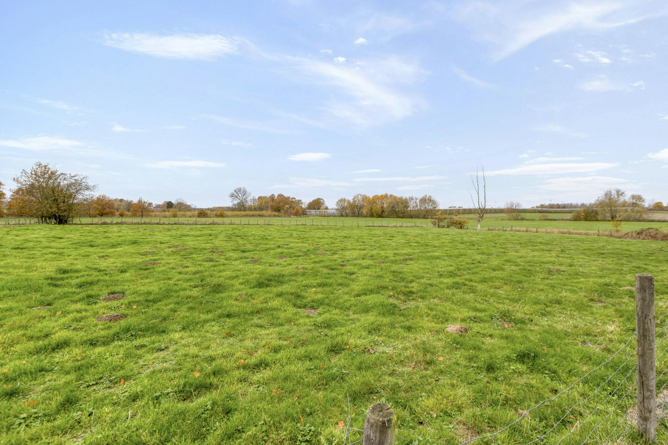 Karaktervolle woning met uitgestrekt perceel van 1HA31A te Halen foto 10