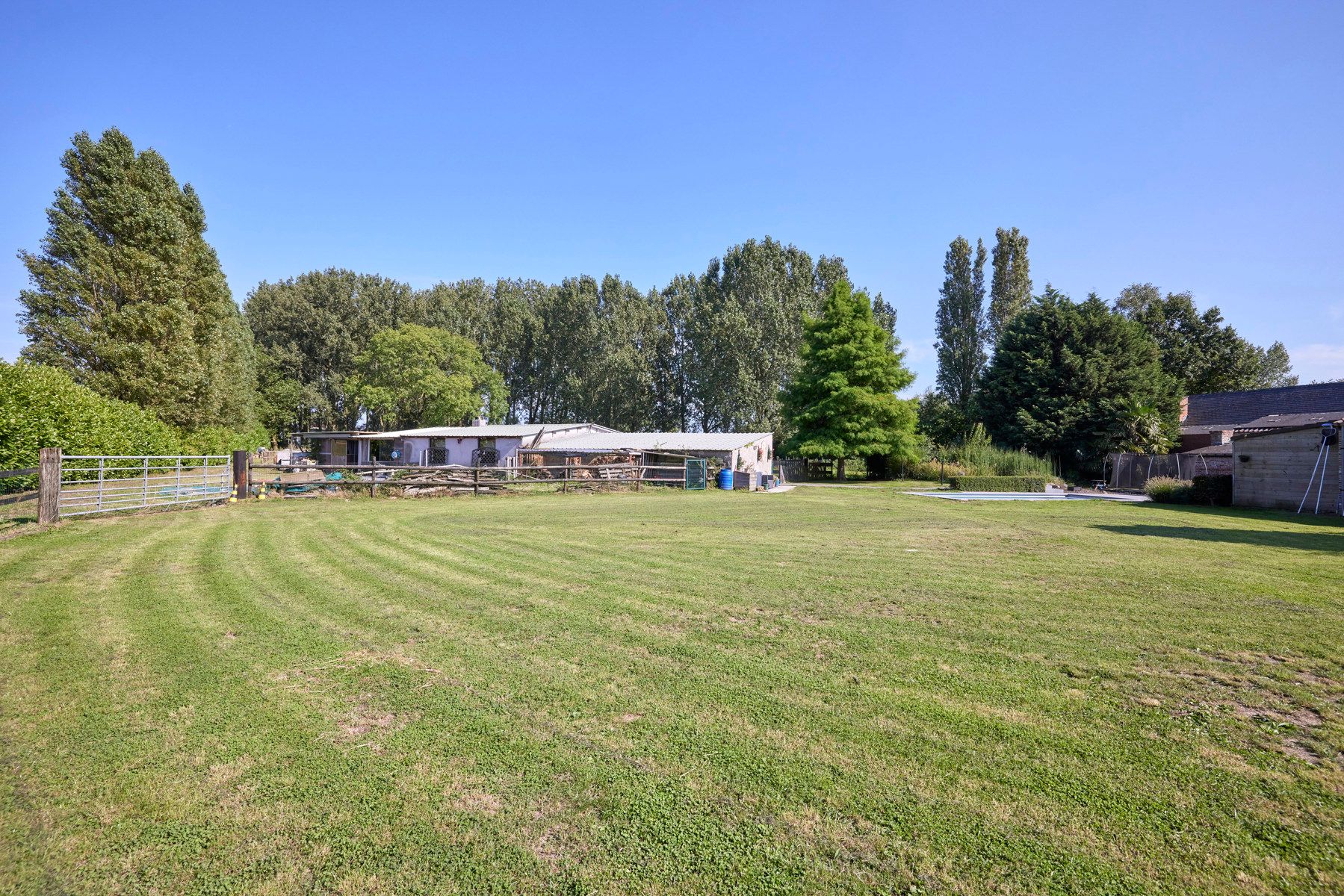 Hoeve met paardenstallingen en ingebouwd zwembad op 10.515m² foto 19