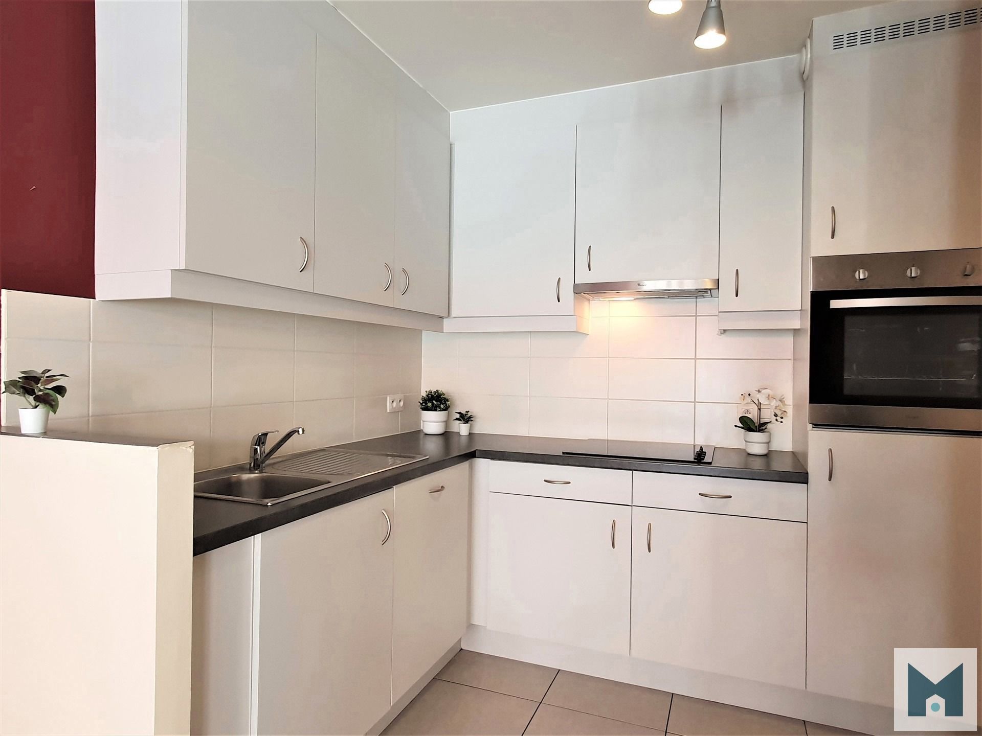 Rustiek appartement gelegen aan de Dender. foto 6
