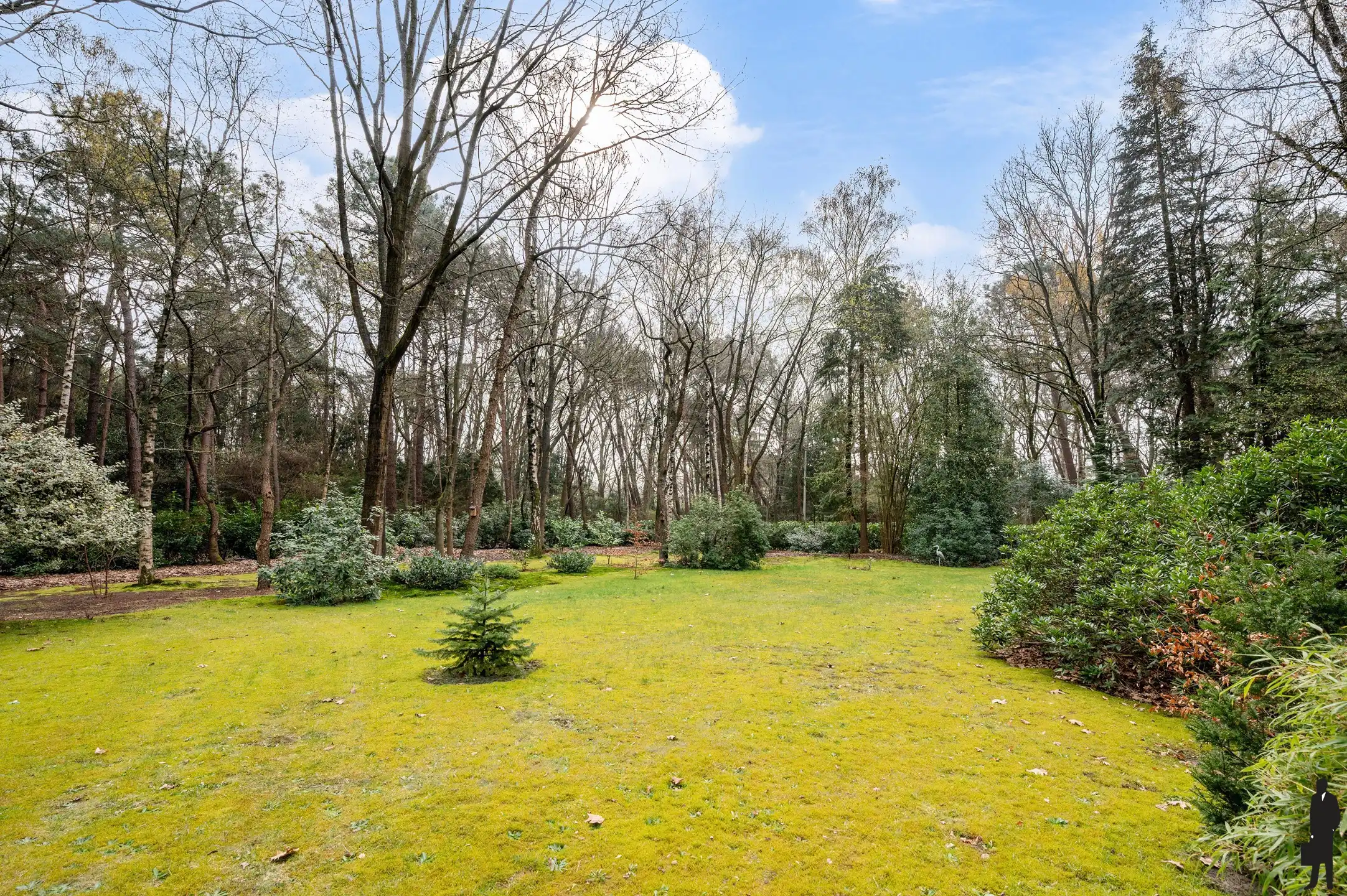 Rustig gelegen weekendwoning met héel veel privacy foto 20