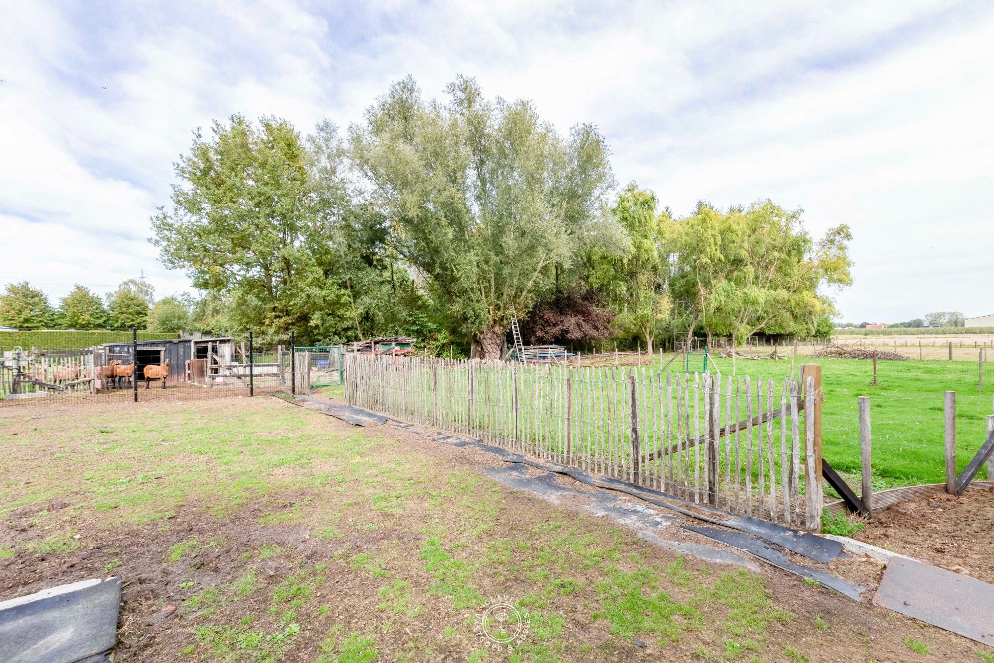 Praktische bungalow met werkplaats en weiland van 3.059 m² foto 16