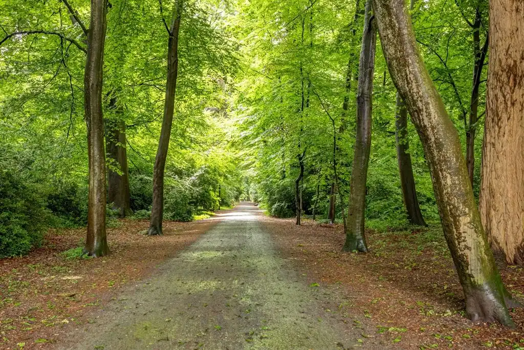 Op te frissen gezinswoning met tuin in Groenenhoek foto 26