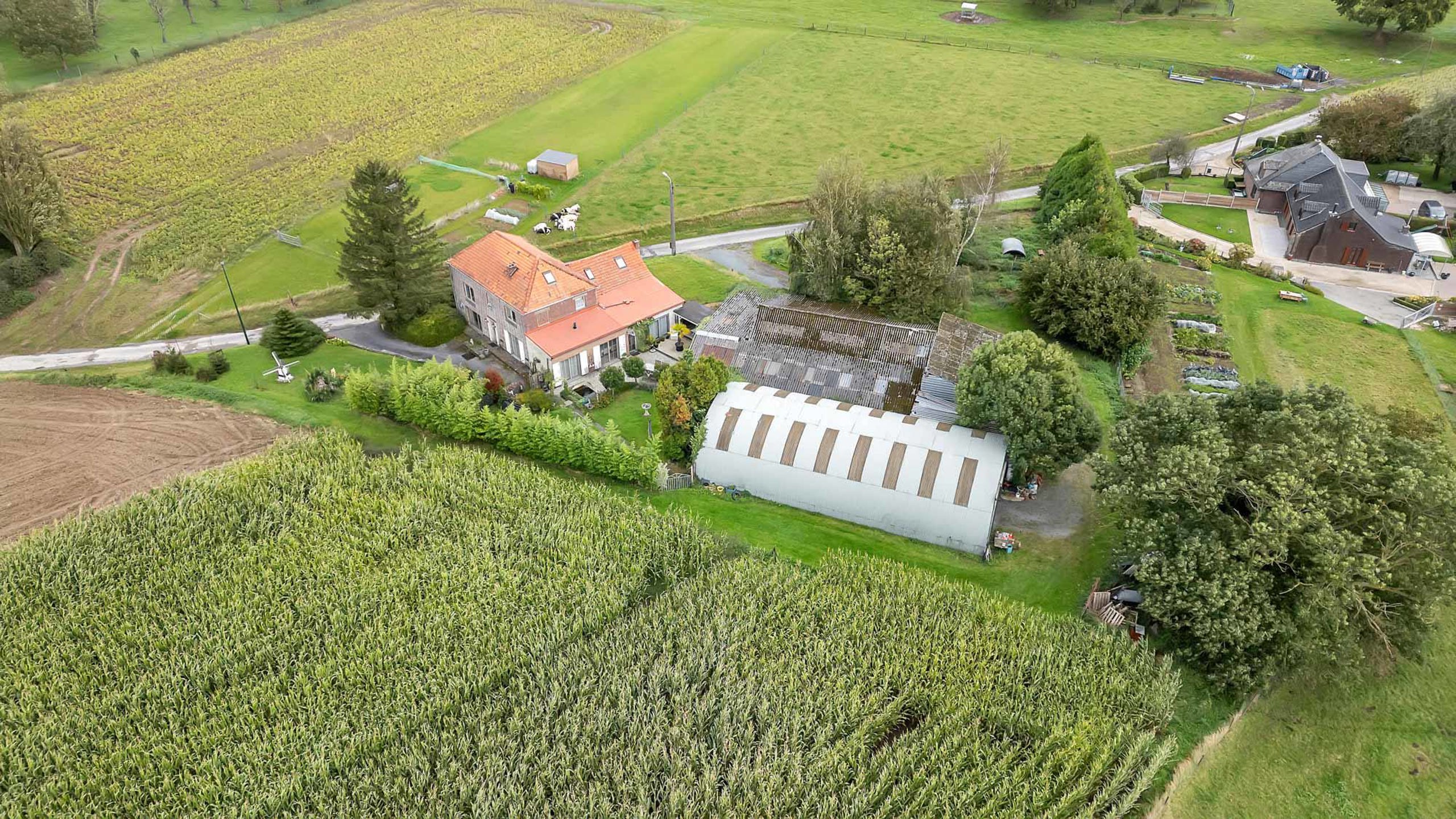 Prachtig landhuis met bijgebouwen op perceel van 28a 45ca foto 2