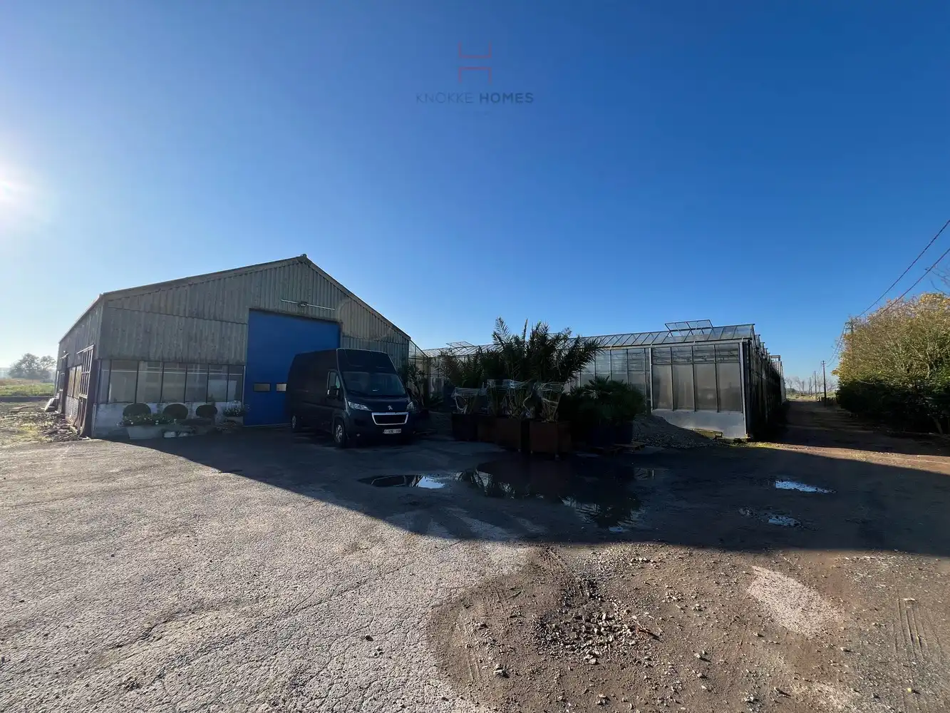 Ca.5.000 m2 serres met loods - bestemd voor agrarische doeleinden. foto 3