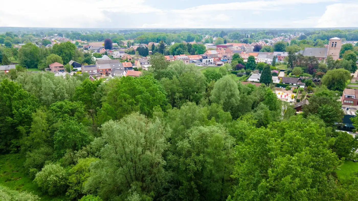 Rustig gelegen bouwgrond van 800m² voor HOB in Olmen foto 13