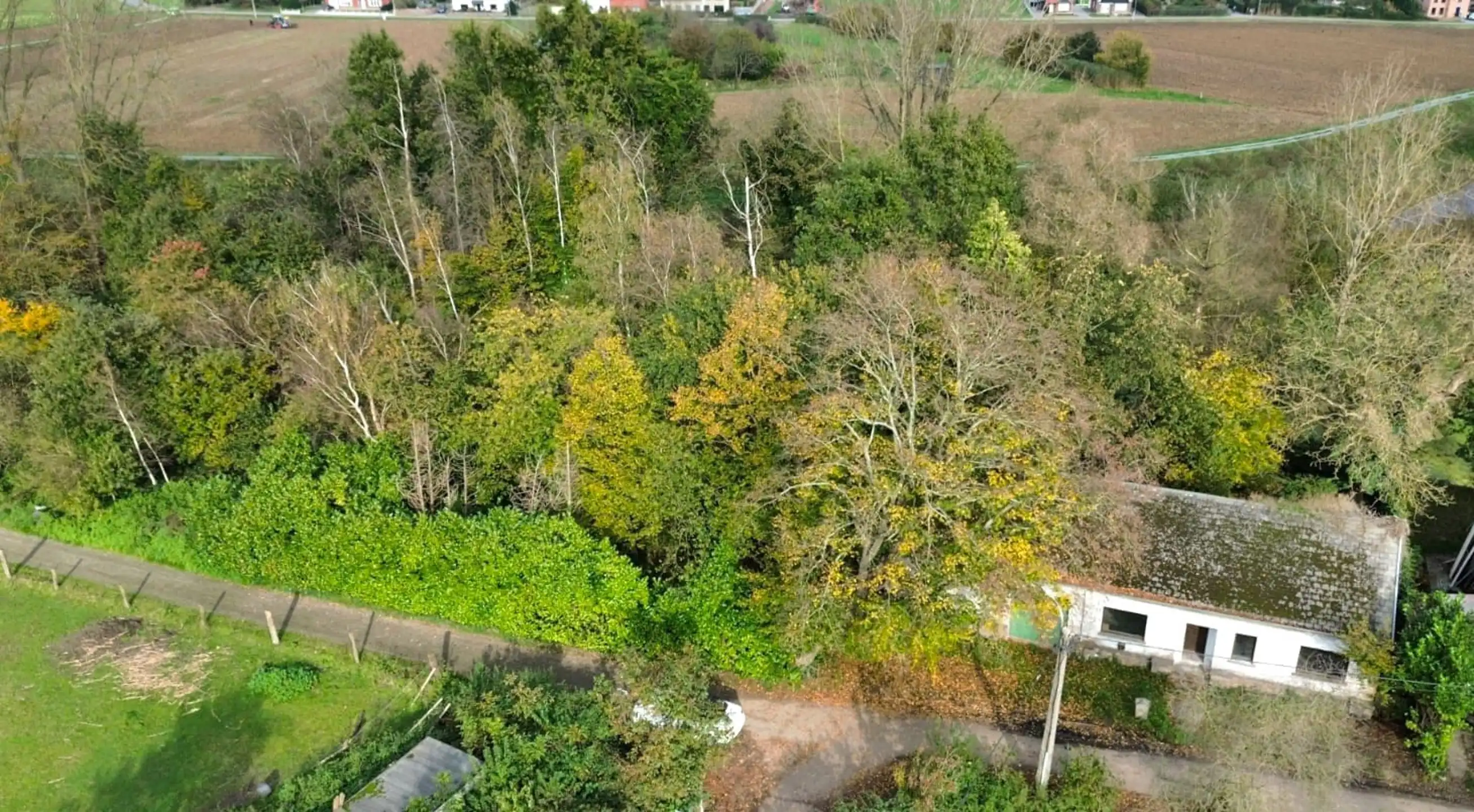 Villa te koop foto 11