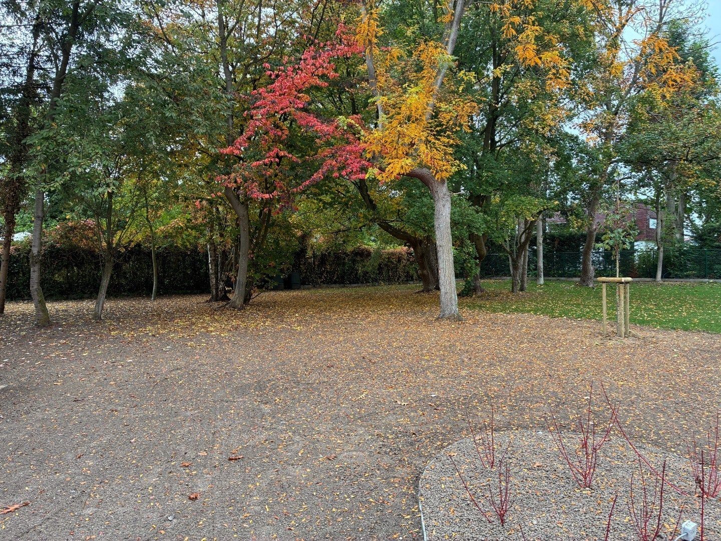 Wonen tussen bomen foto 25