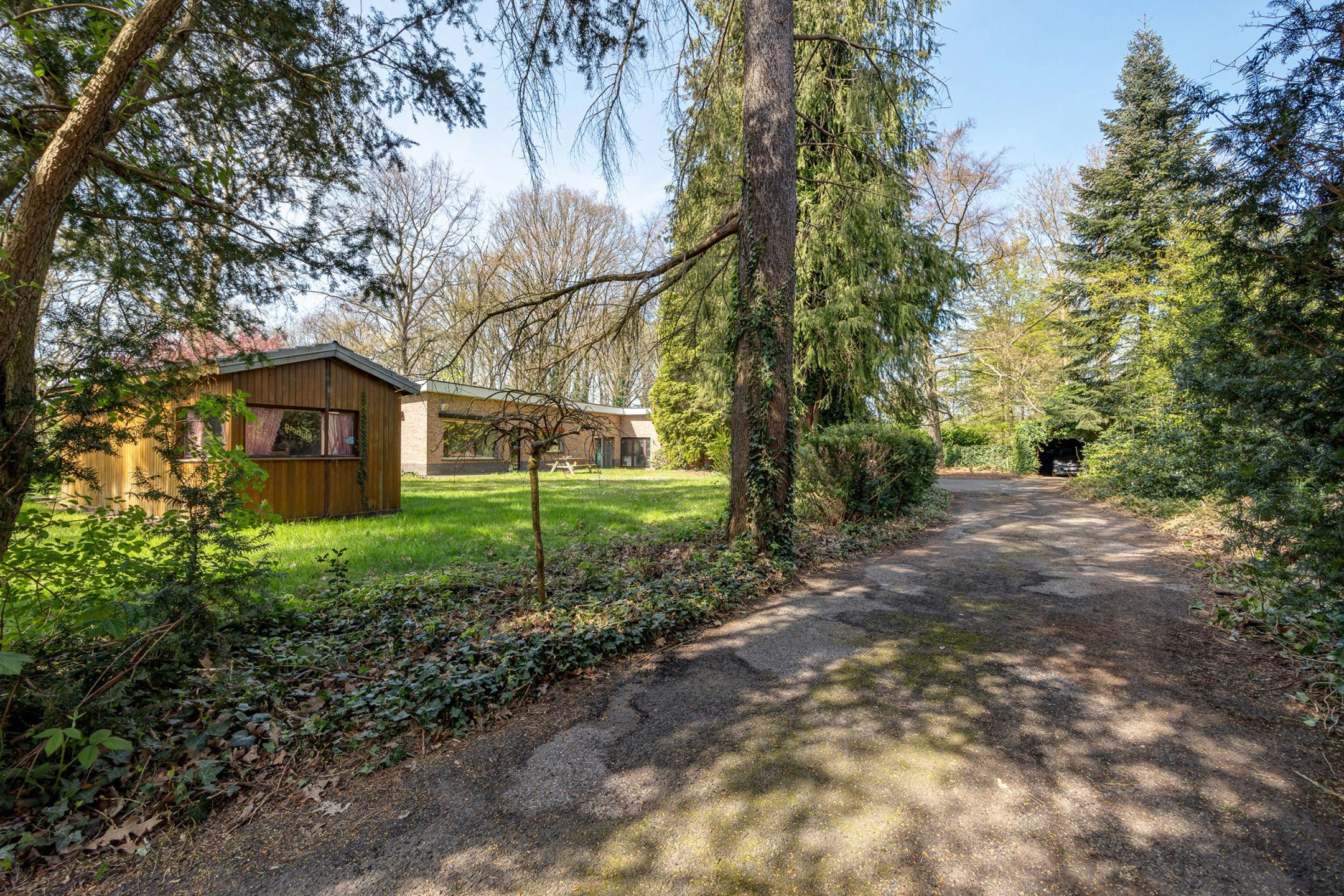 Laagbouwwoning te midden van het groen  foto 3