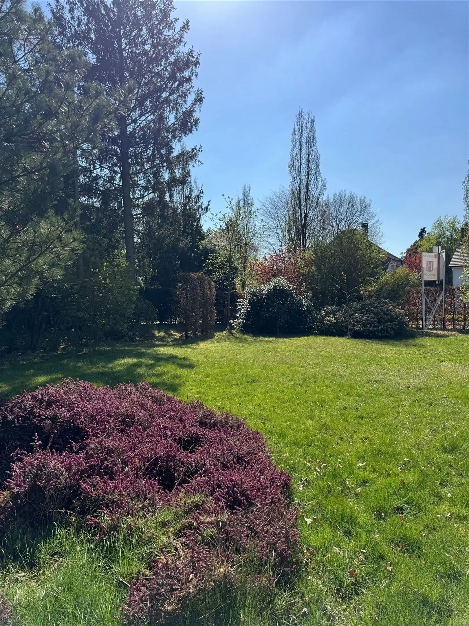 Stijlvolle nieuwbouwvilla op ruim perceel in groene Sint-Lucaswijk  foto 12