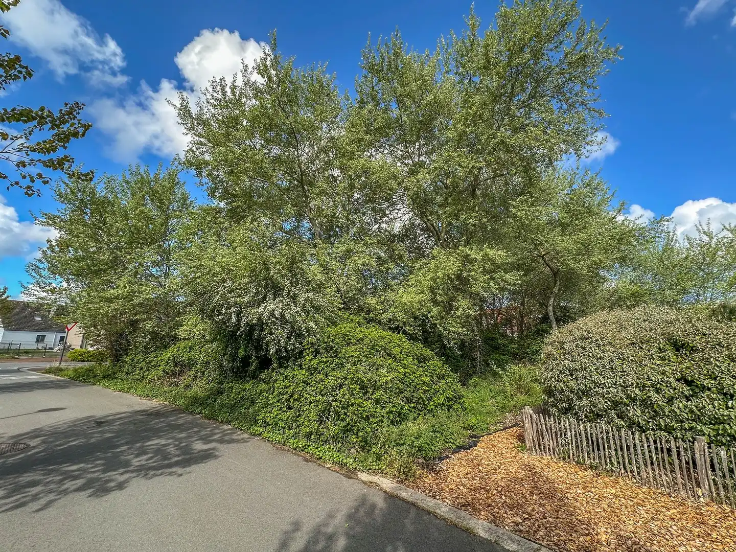 Uitzonderlijke bouwgrond (1.304m²) op een steenworp van zee (Groendijk). foto 6