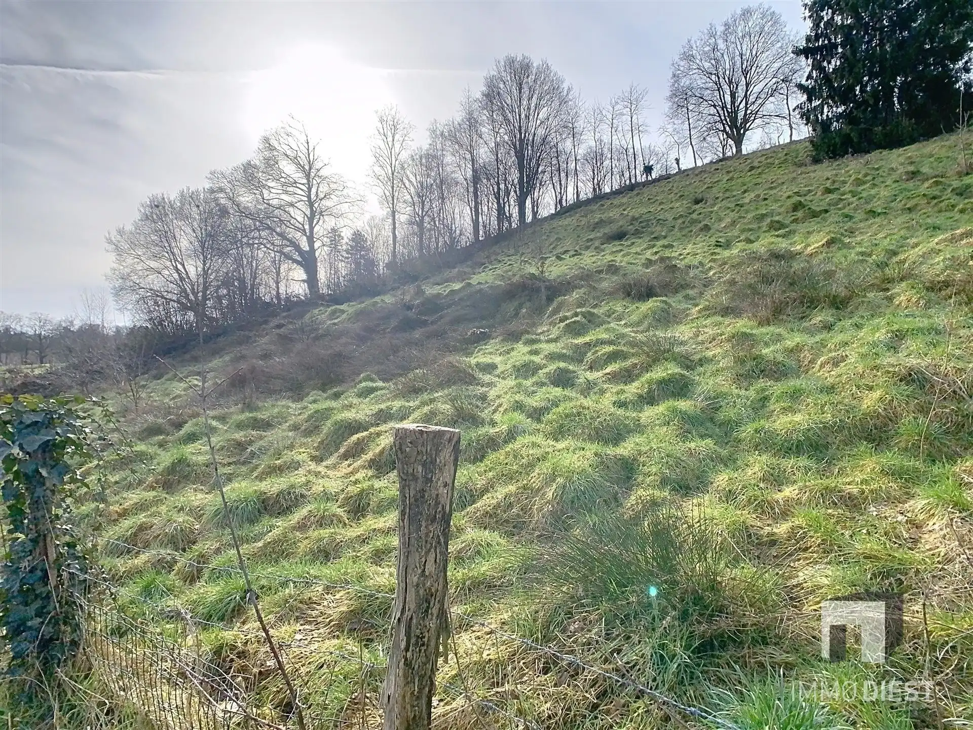 Woning met grote garage en stalling foto 32