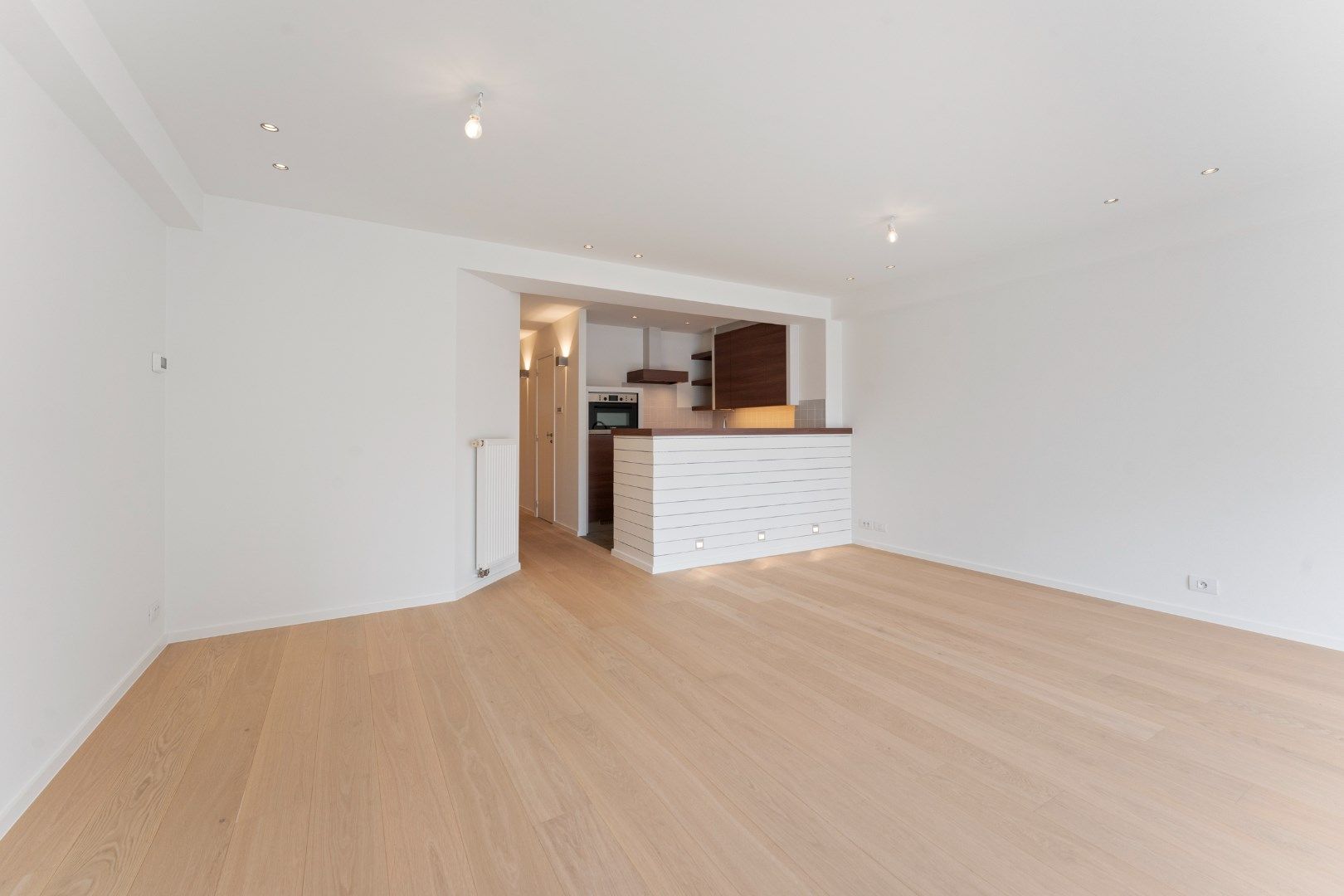 Gerenoveerd, lichtrijk appartement  foto 4