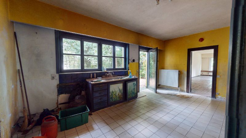 Rustig en gunstig gelegen te renoveren villa van 375m² op 48 are foto 6