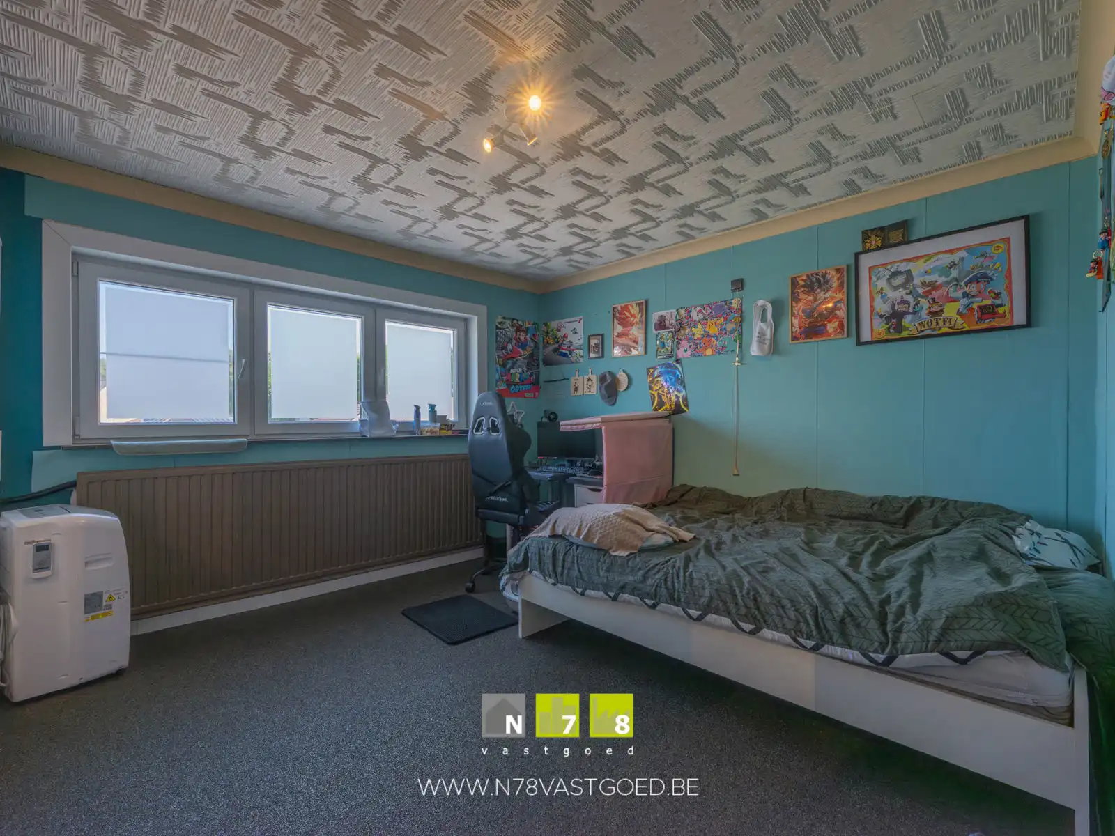 Huis te koop foto 12