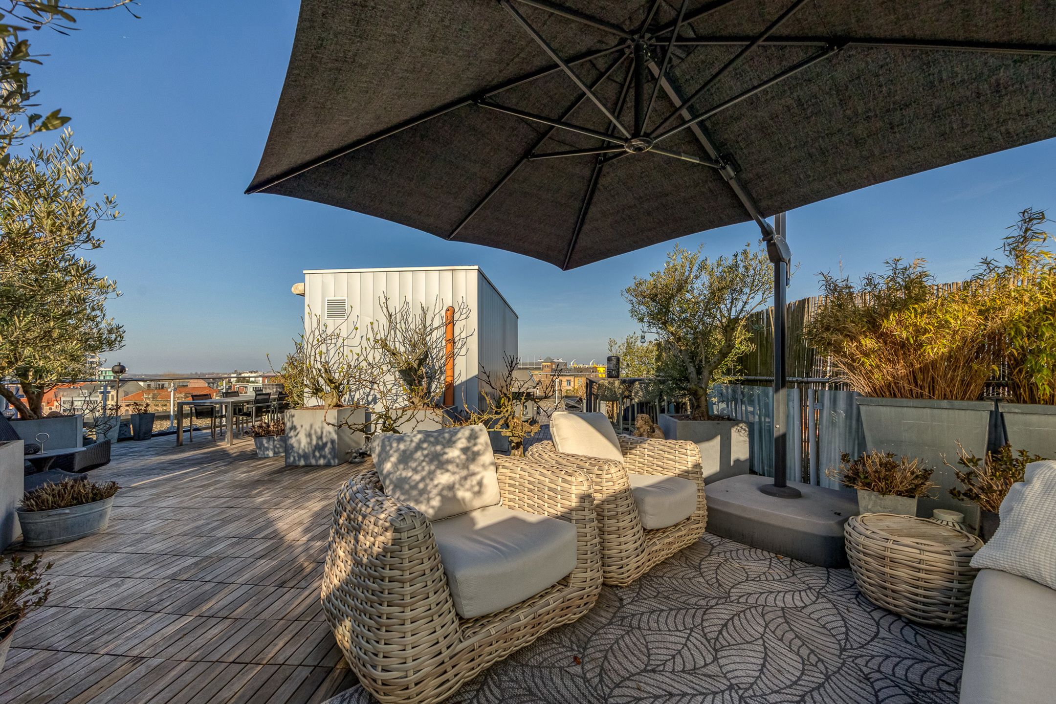 ANTWERPEN ZUID - Wonen met daktuin aan het Zuidpark  foto 5