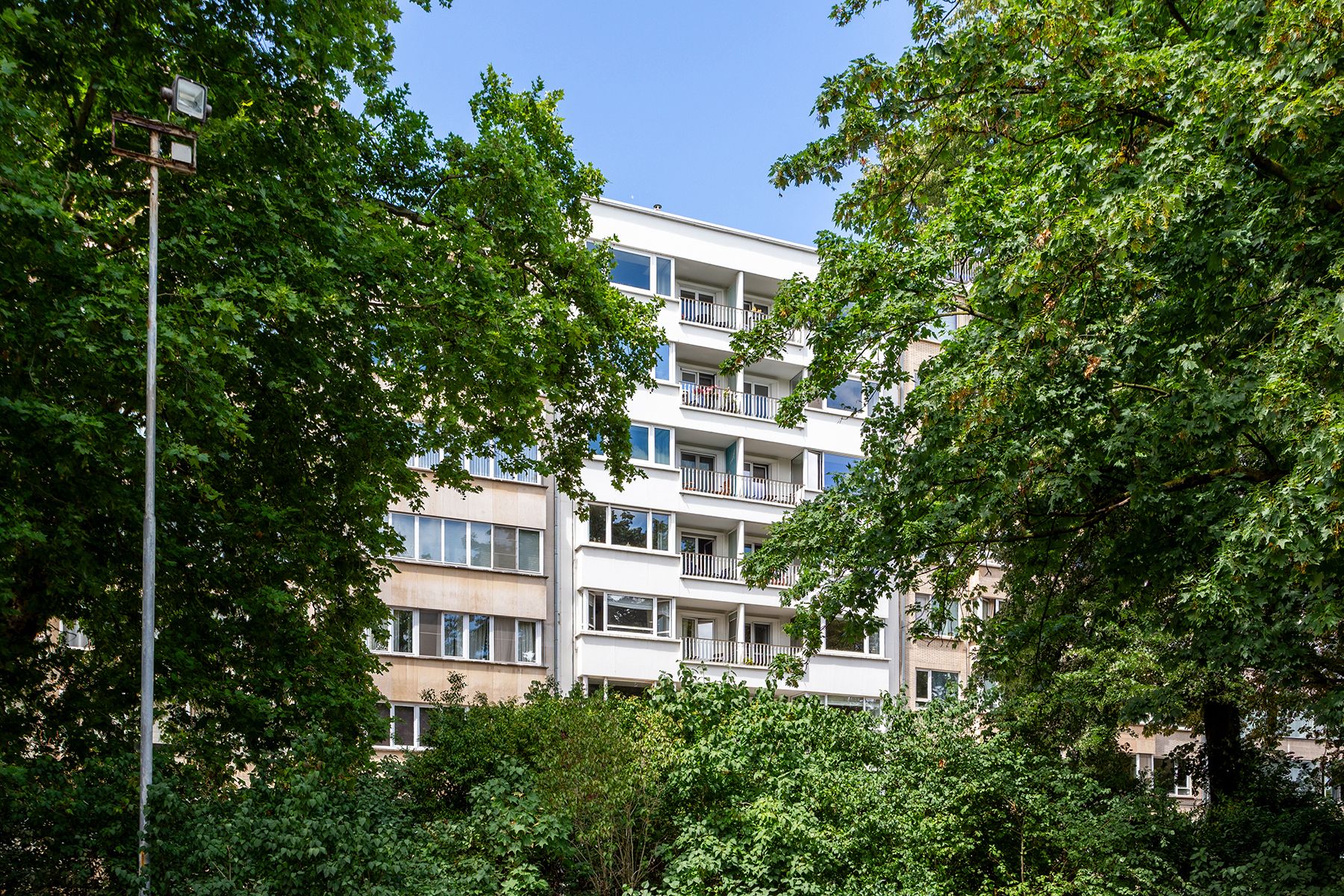 Stadspark - Ruim 3 slpk app. met terras  foto 22