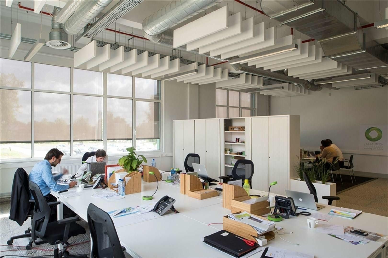 2500 m² kantoorruimtes vanaf 34 m²  te huur in Greenville te Houthalen Helchteren foto 3