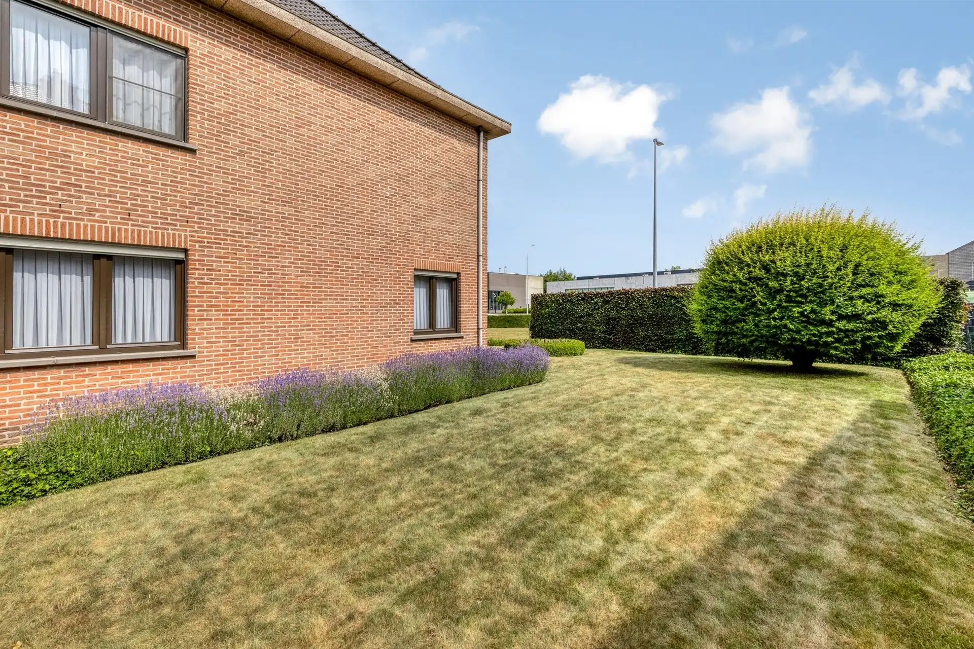 Woning met 4 kamers op terrein van 11a49ca foto 15