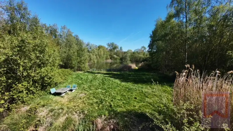 Unieke chalet met vijvers op ±1,4 ha! foto 8