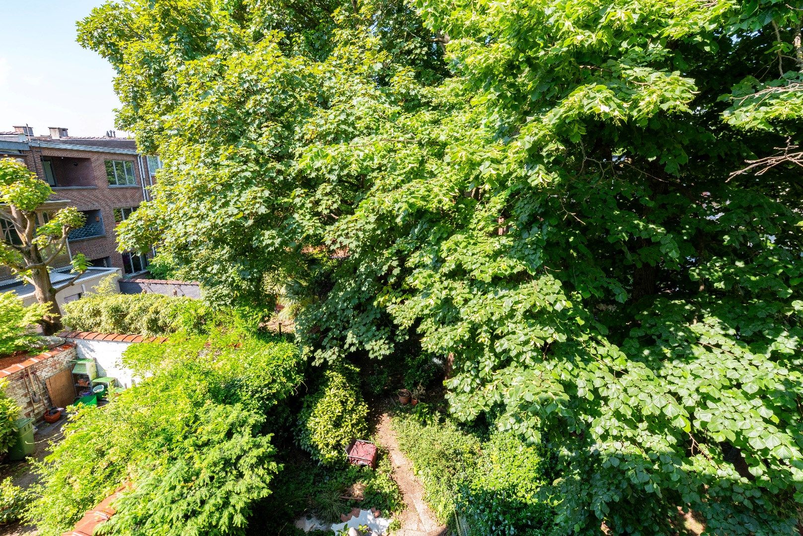 Appartement met uitzicht op 38 kleurrijke papegaaien! foto 11