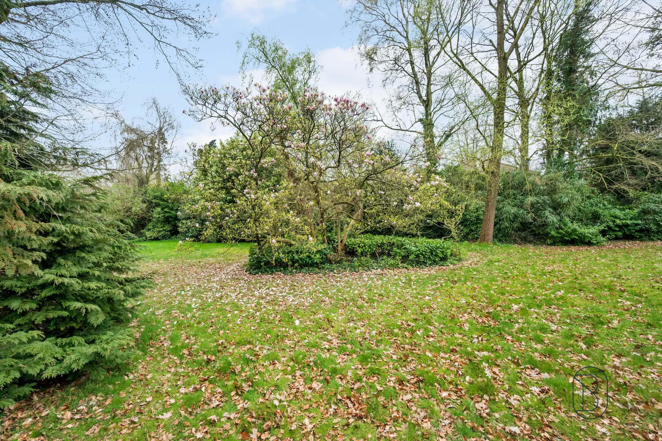 Topgelegen in de Rodenburg: te renoveren/af te breken villa foto 4