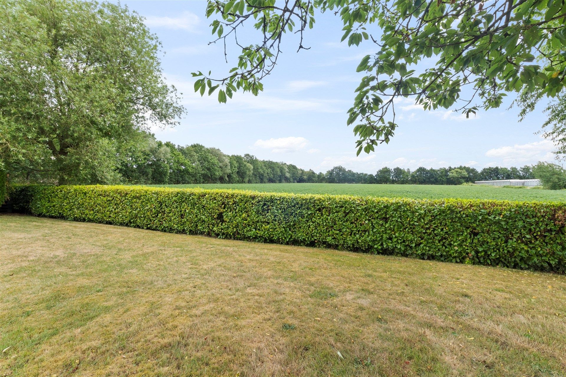 zeer mooi gelegen woning met weids zicht op de natuur foto 2
