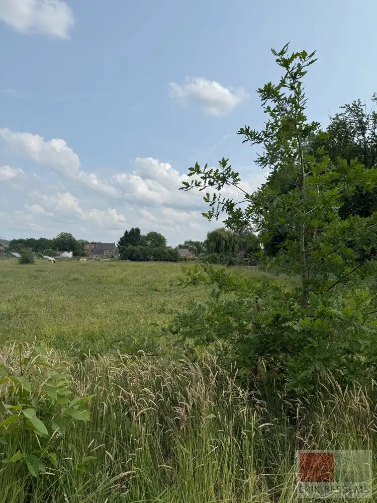 Grond te koop foto 5