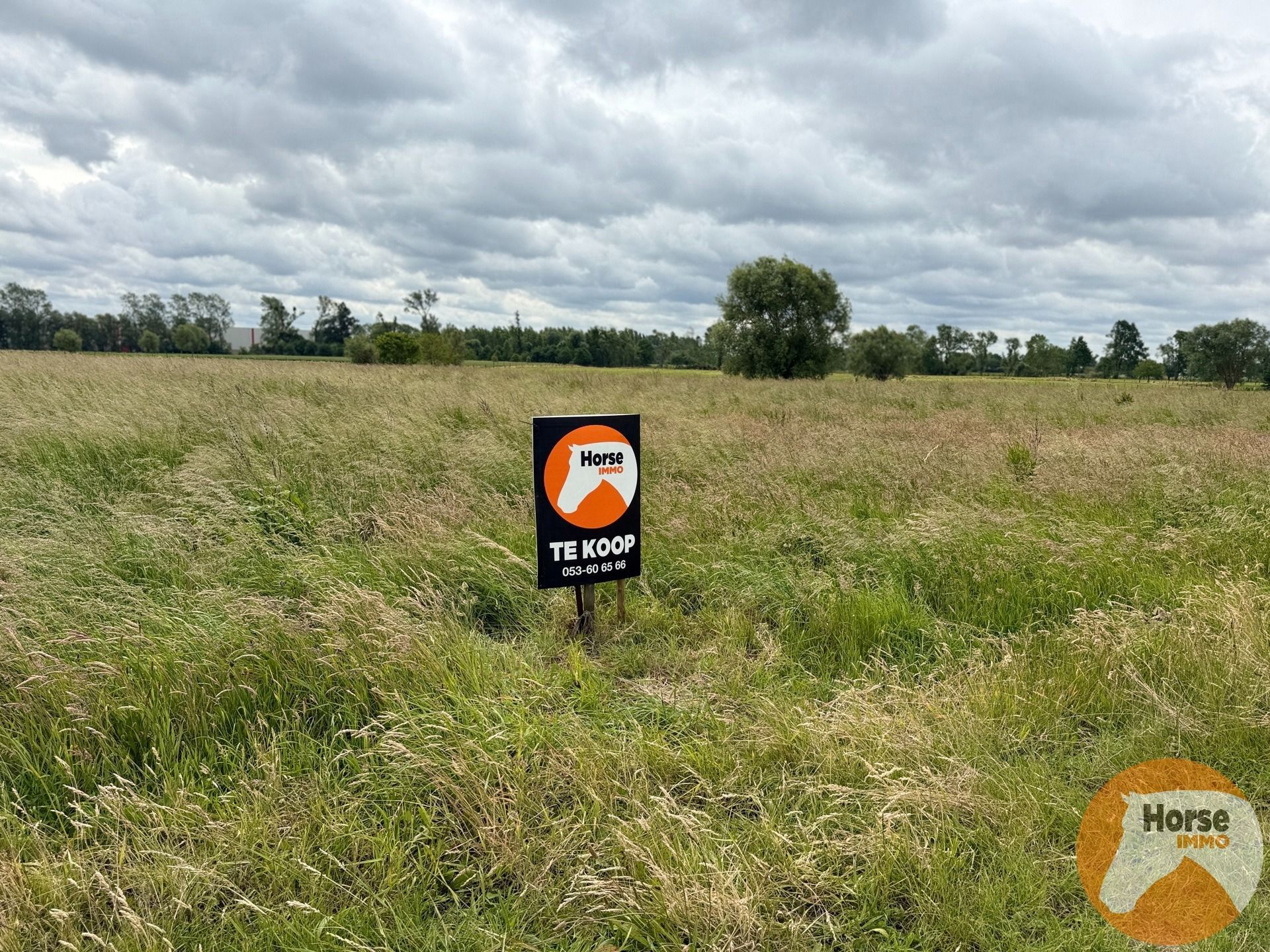 KAPELLE OP DEN BOS - Landbouwgrond/weide op +-2ha foto 2