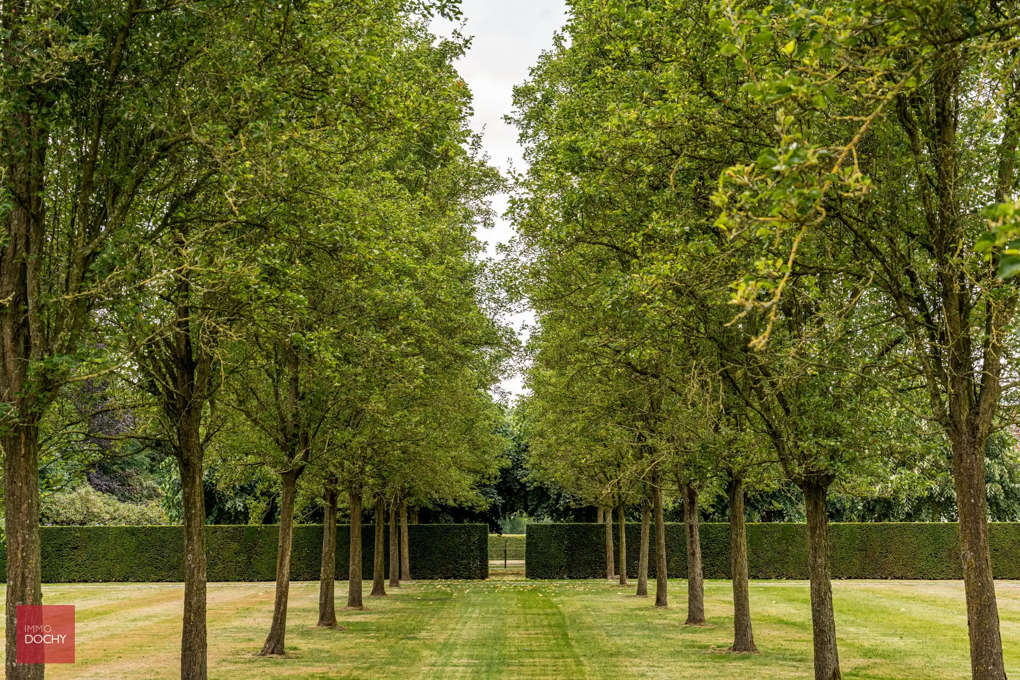 Unieke eigendom in alle rust en privacy op ca. 5,4ha foto 3