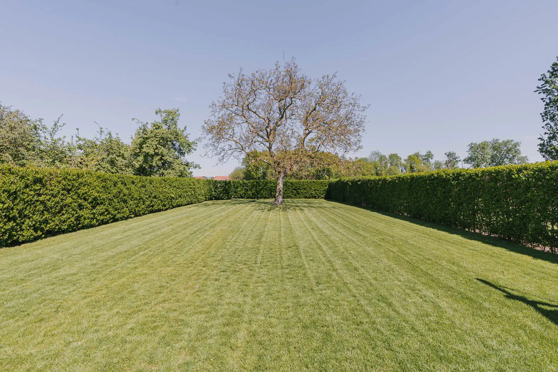 Rustig gelegen villa met verwarmd zwembad nabij Leuven foto 27