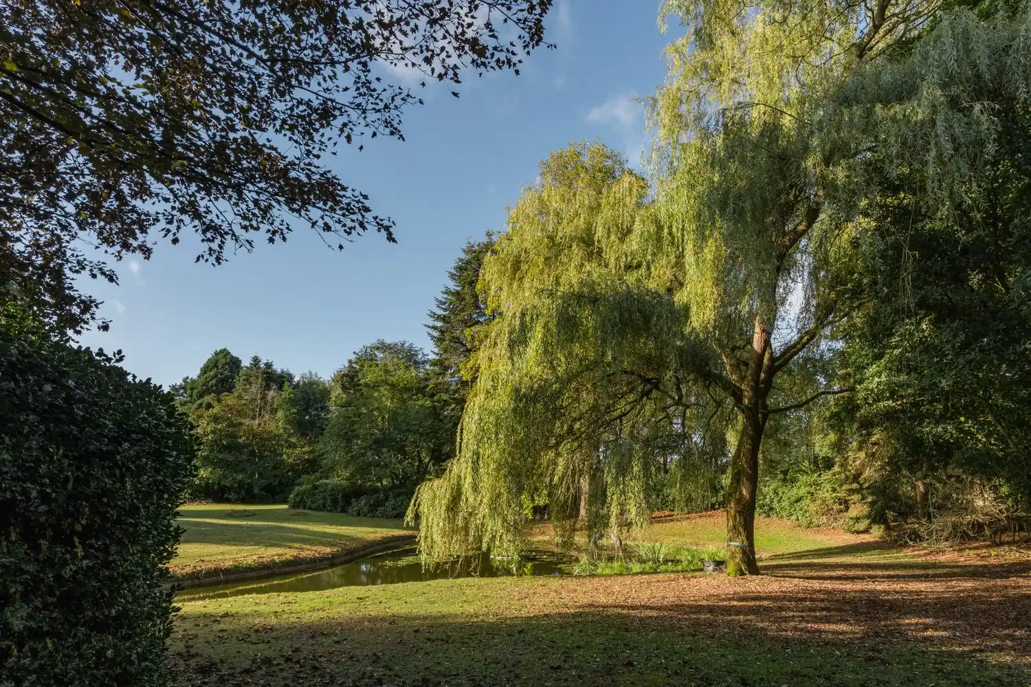 Prachtige villa op een uitzonderlijk domein van 20600m² foto 65