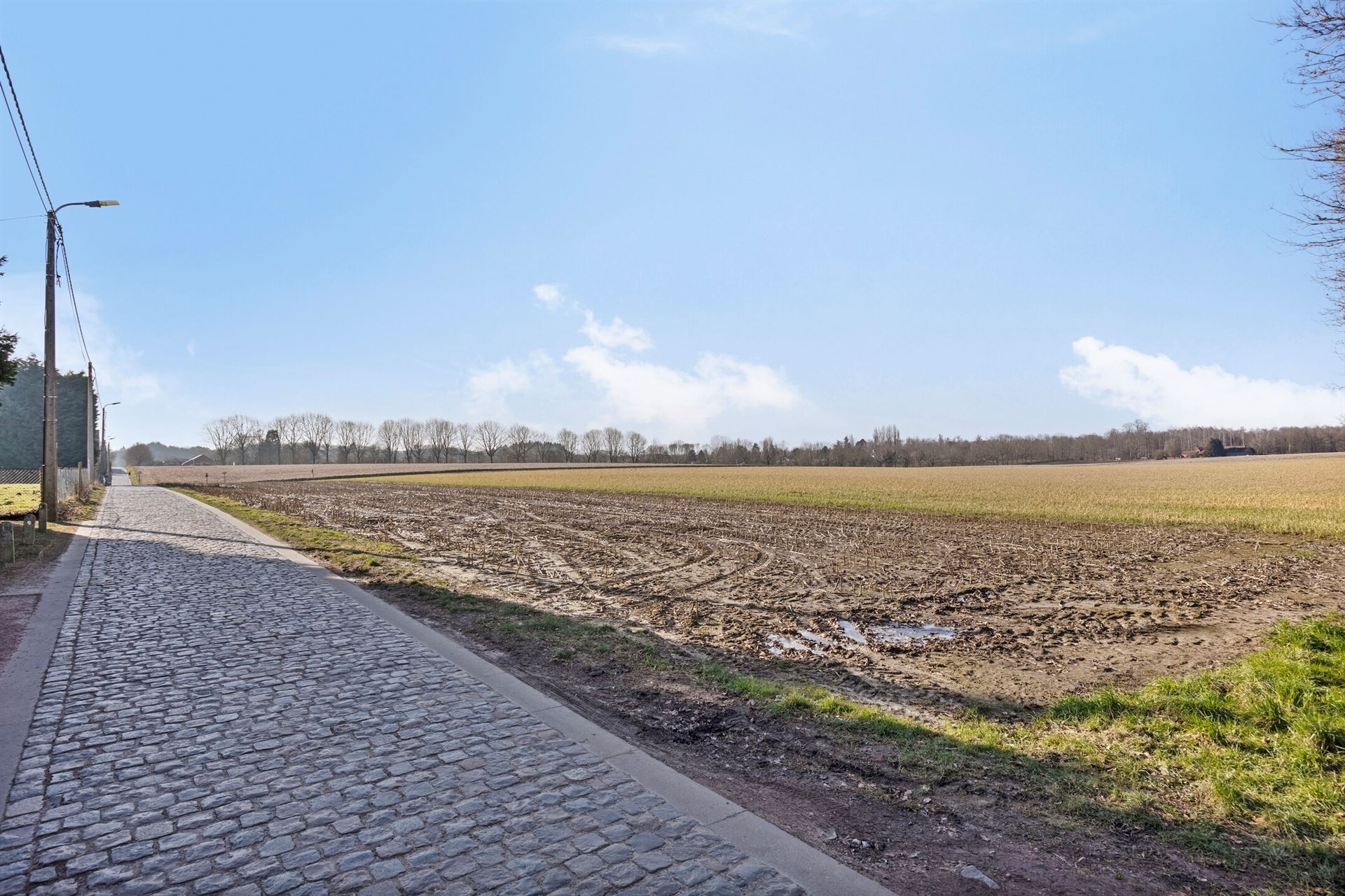 Moderne en energie-vriendelijke villa op een mooi perceel foto 39