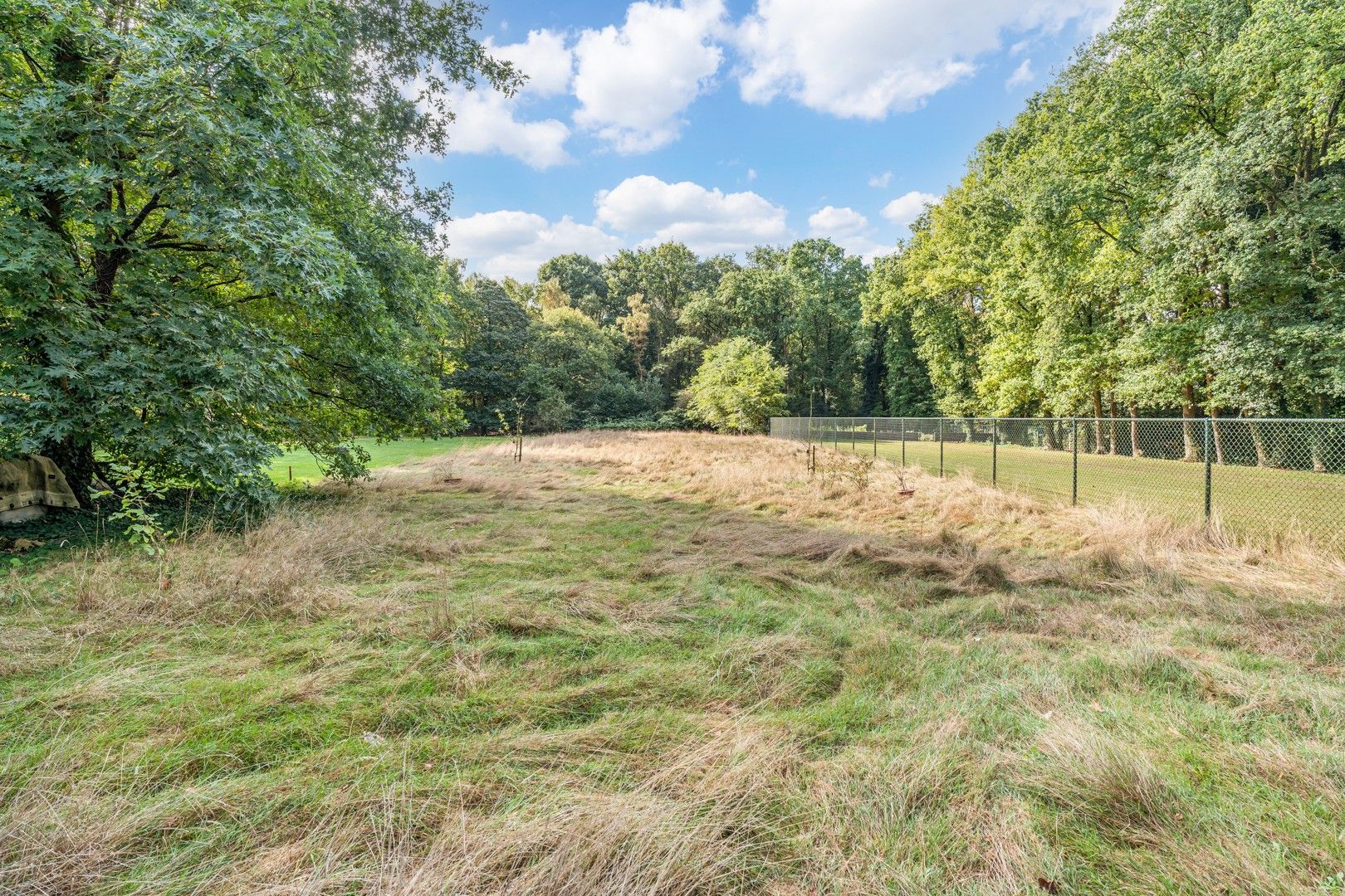 🏡 Ruime gezinswoning op toplocatie in het centrum van Helchteren foto 5