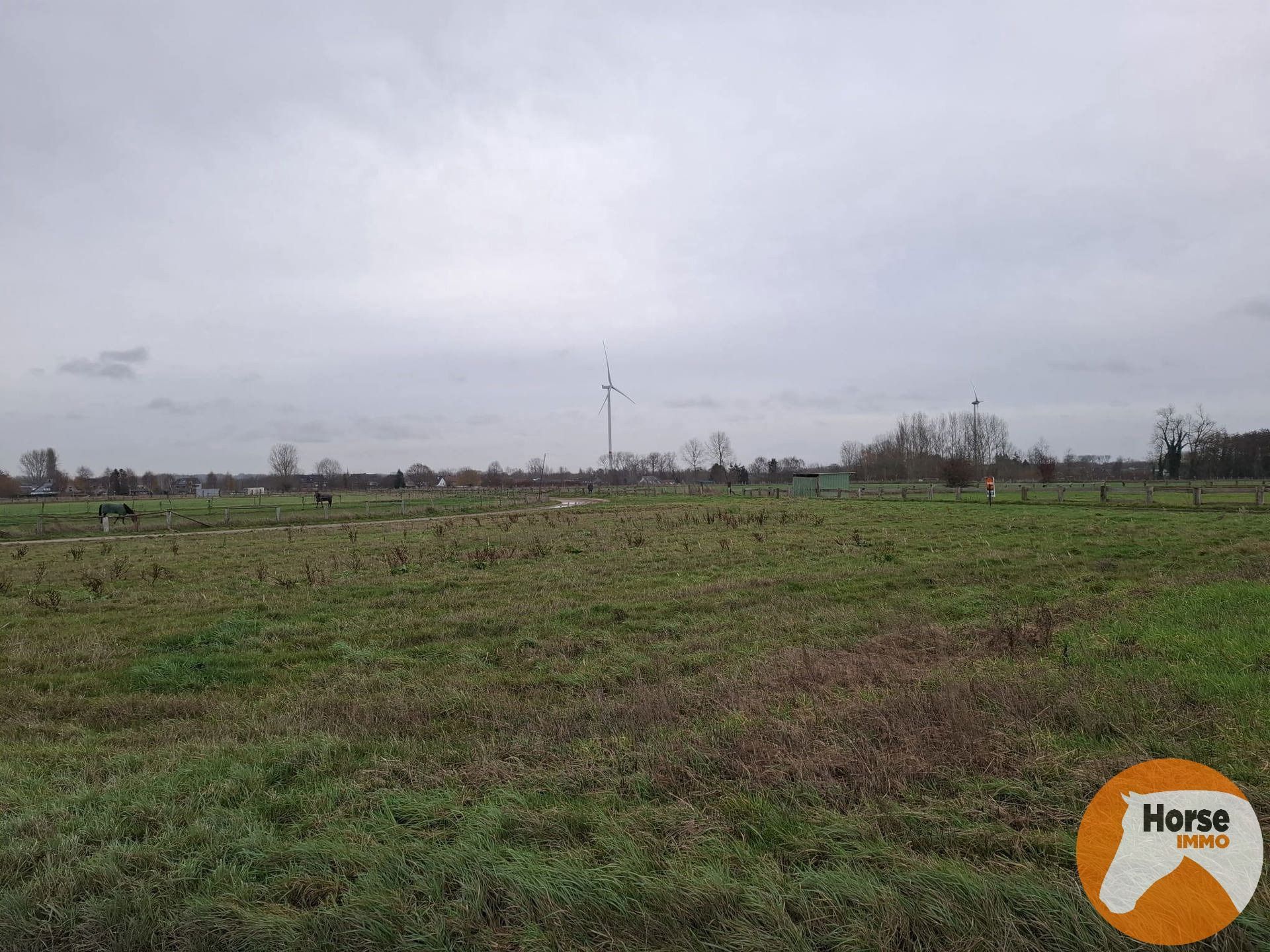 HAALTERT– Perceel weiland van 35a 76ca foto 4