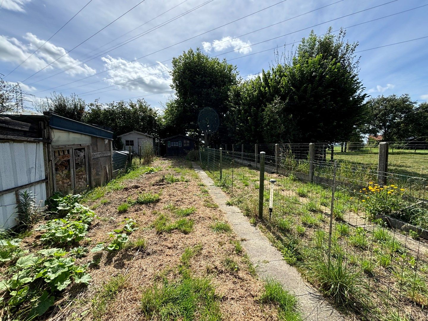 Ruime halfopen woning met mooie zonnige tuin. foto 5