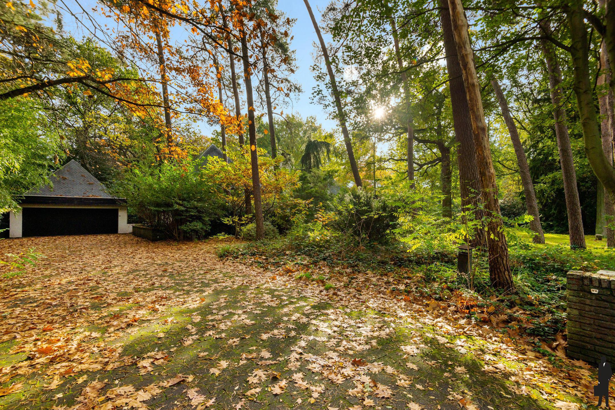 Verscholen in de natuur, in 1 van de mooiste lanen van Vriesdonk, rustig en residentieel: Architectenwoning op ca. 5.710 m².  foto 16