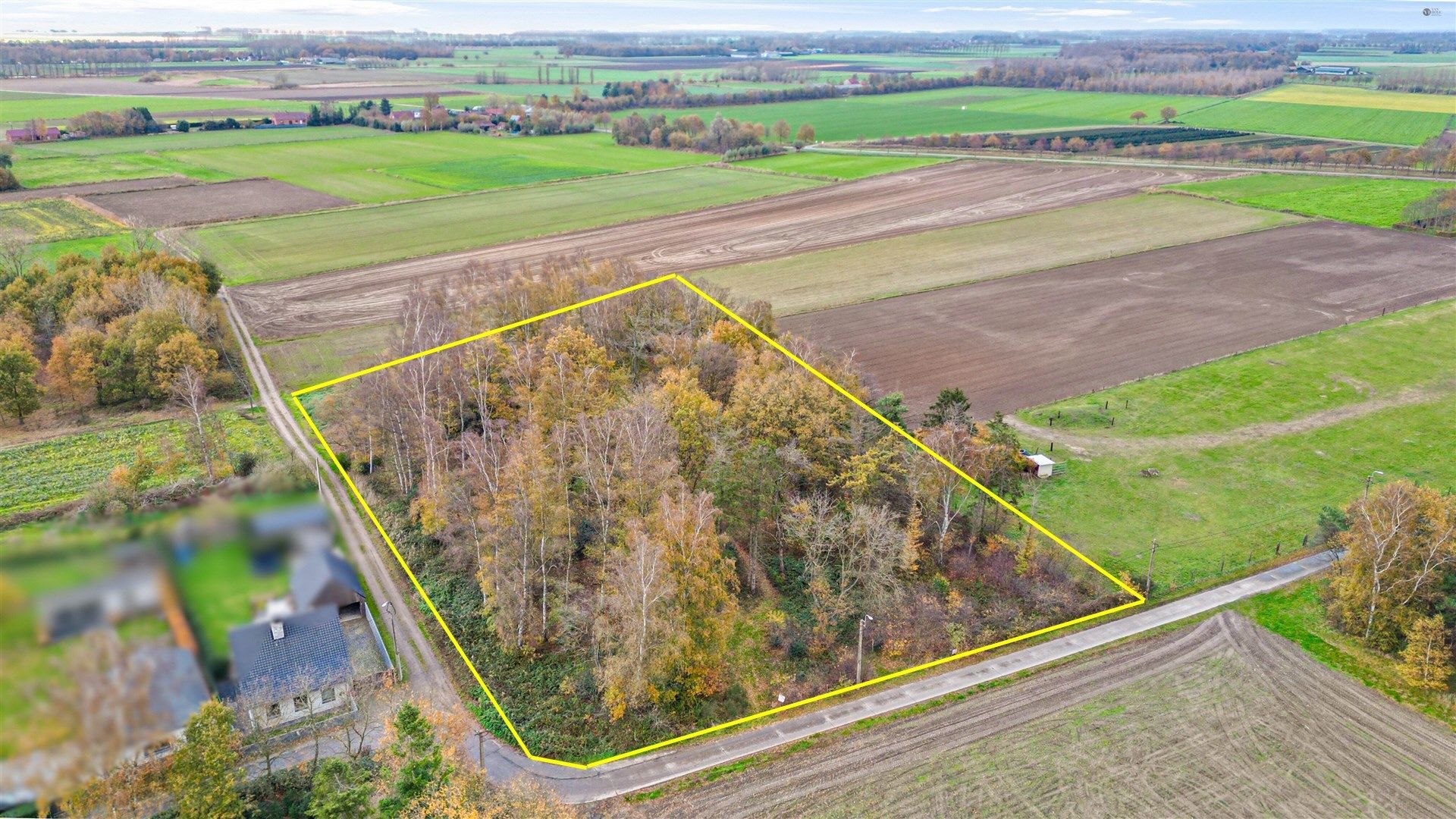 Bos op 5467m² grond foto {{pictureIndex}}