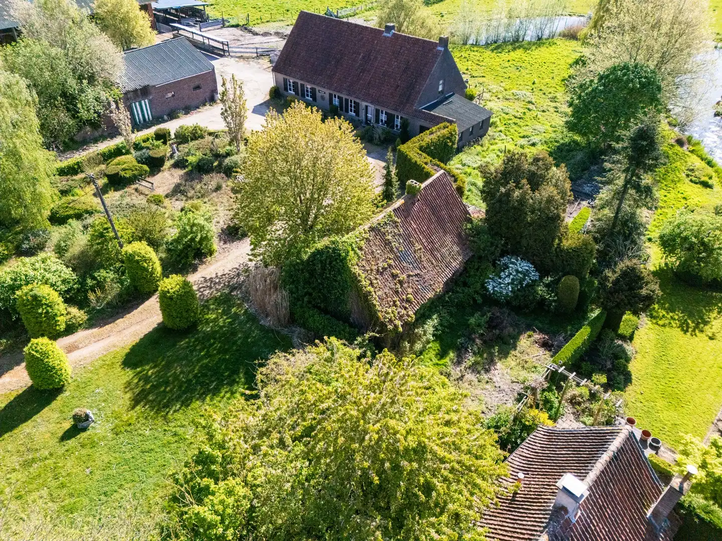 Authentieke hofstede op ca. 5,5 hectare – een oase van rust, groen en ruimte foto 6