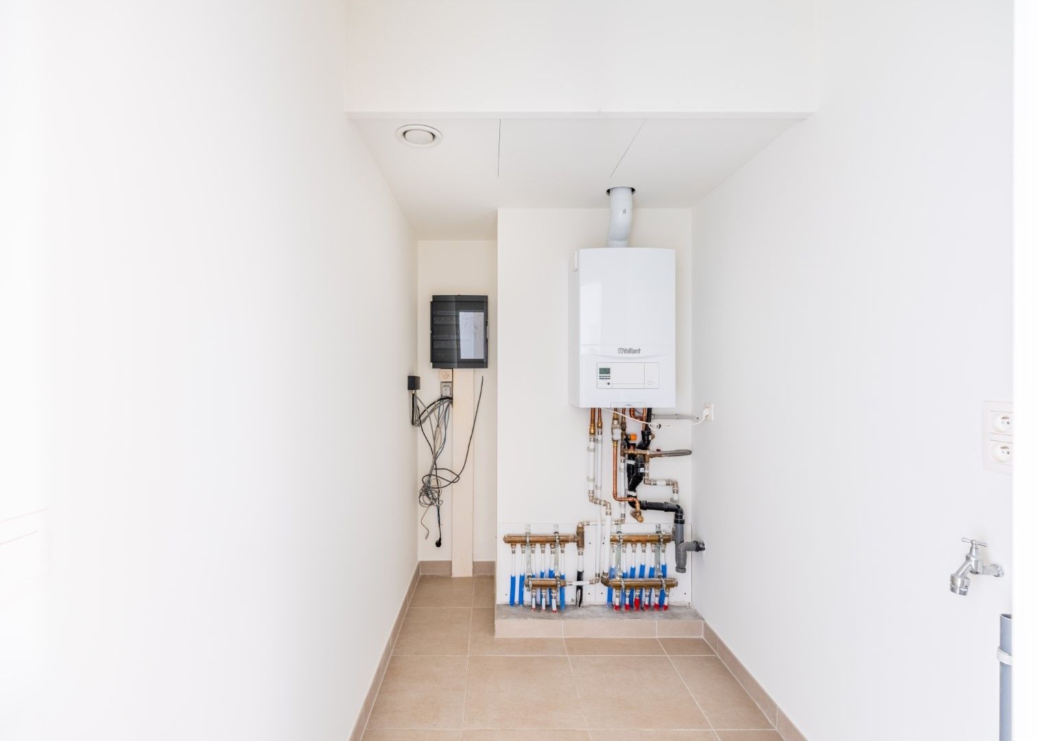 Cara - 05.01 foto 12