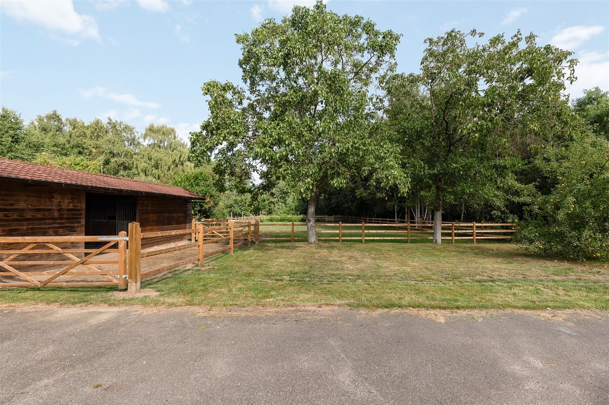 ZEER RUIME EN RECENT GERENOVEERDE WONING OP EEN PERCEEL VAN 2367m² UITGERUST MET EEN VERGUNDE PAARDENSTAL EN ACHTERLIGGENDE WEIDE foto 28