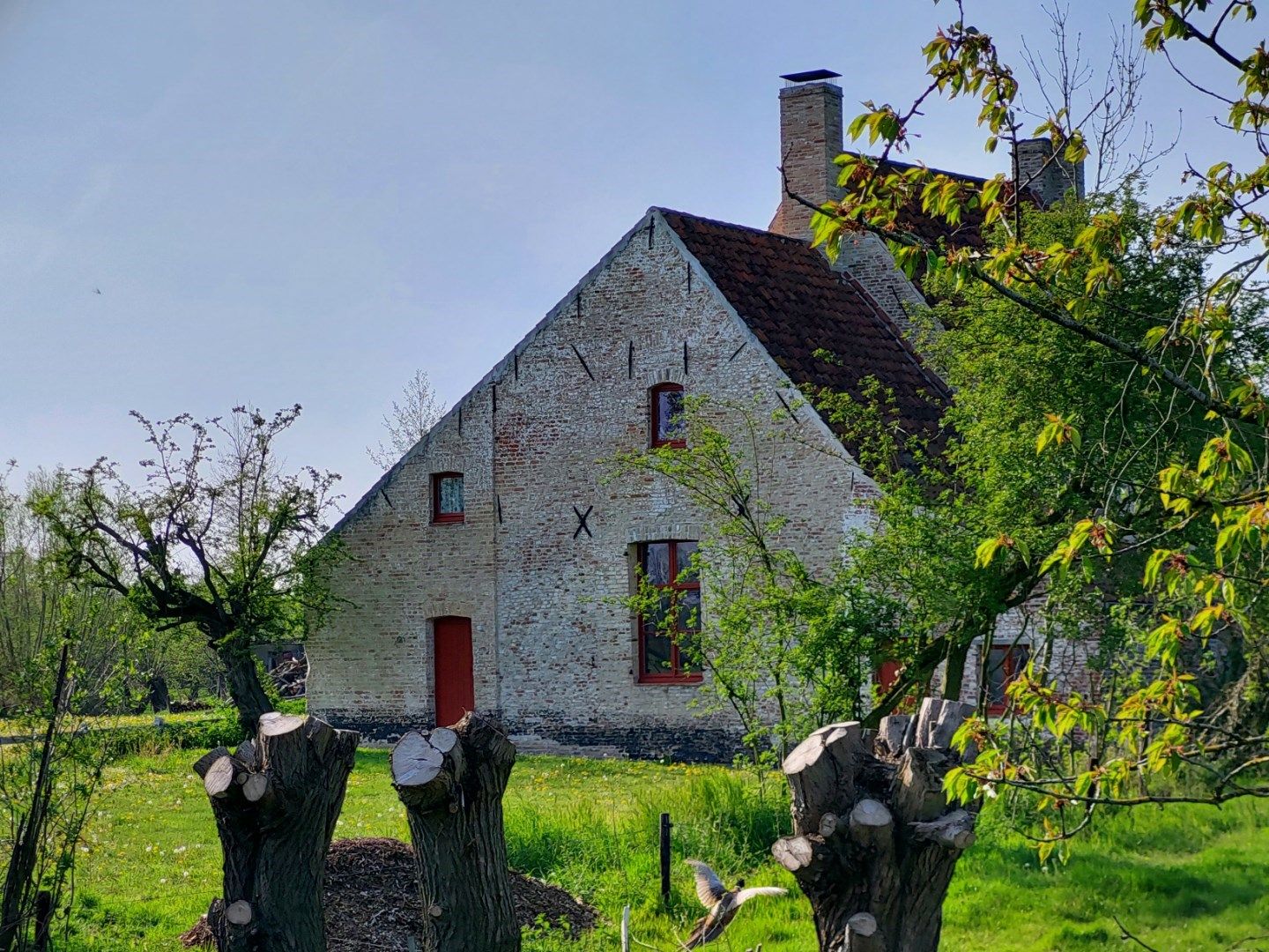 Gerestaureerde hoeve "Ter Leyden" foto 30